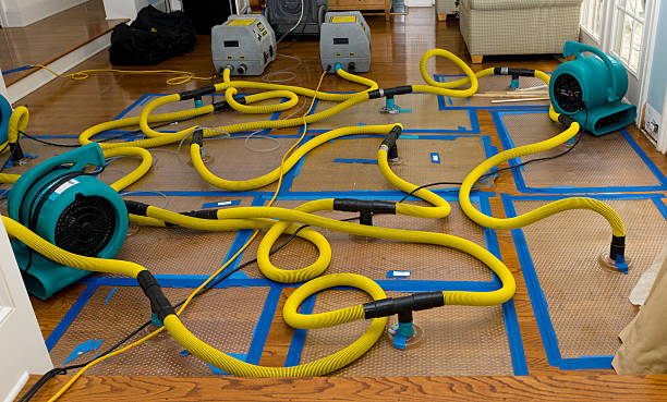 Professional Water Damage Restoration technician working in Nelsonville, WI